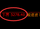 纸浆期货:试仓低点,精准展开单边极端上行