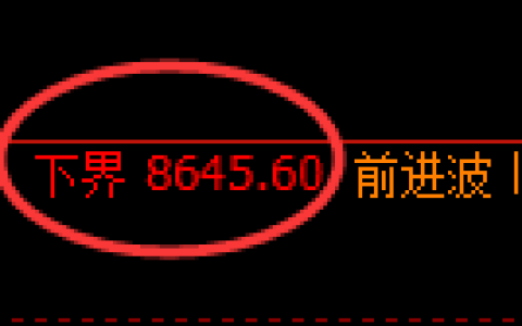 棕榈油期货：试仓低点，精准展开直线拉升