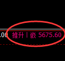 纸浆期货:试仓低点,精准展开极端强势拉升