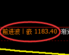 纯碱期货：日线低点，精准展开强势反弹