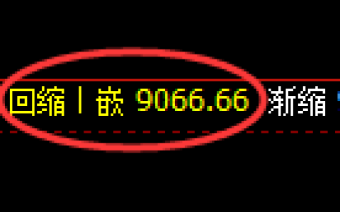 聚丙烯期货，午后涨停，由修正低点，单边强势触及涨停