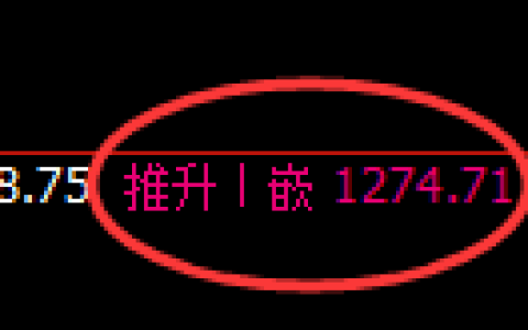 焦煤期货：修正高点，精准展开极端回落