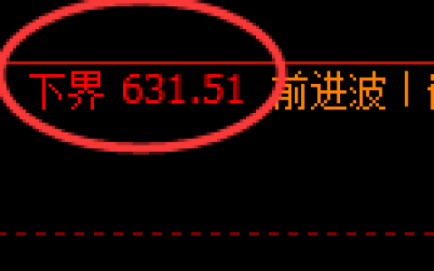 原油期货：试仓低点，精准展开直线拉升