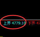 纸浆期货:试仓高点,精准展开振荡调整